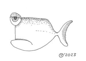 A6 Tegning - Sea Life 07