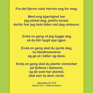 20x20cm ALuminiums Trykk - Fra det fjerne