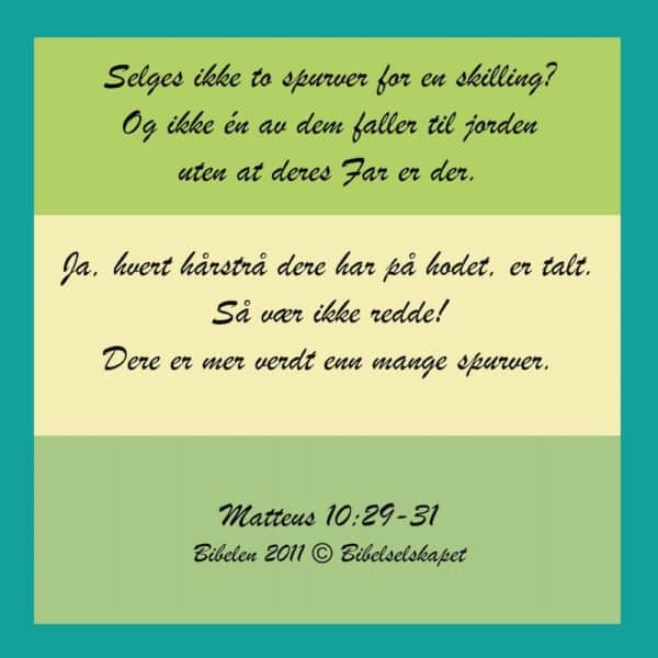 20x20cm Aluminiums Trykk - Hvert hårstrå