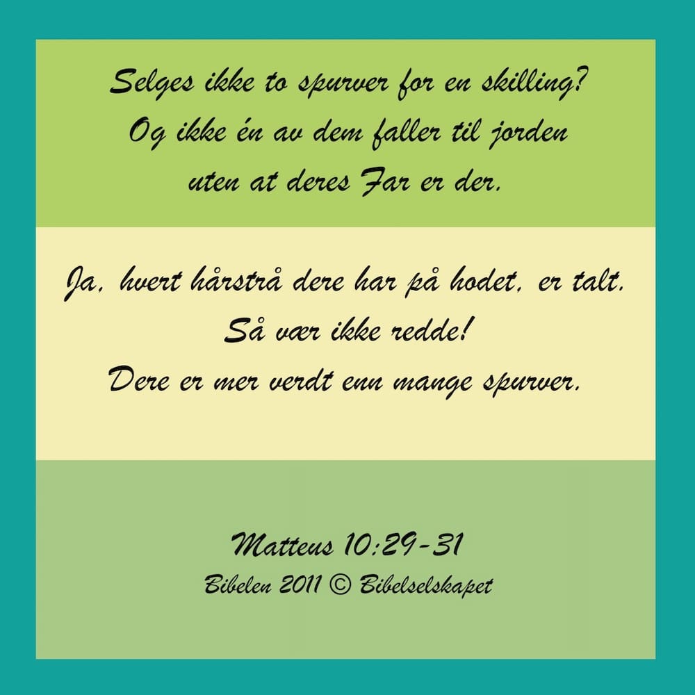 20x20cm Aluminiums Trykk - Hvert hårstrå